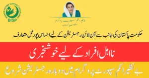 Ehsaas Portal For Online Registration In BISP 8171 2025