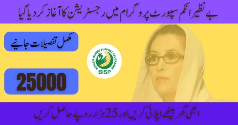 8171 BISP Program Check Online Registration For Help 2024