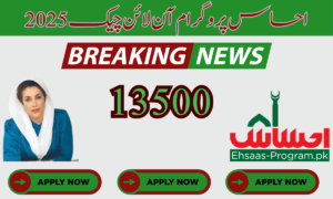 Ehsaas Program 13500 Online Check 2025