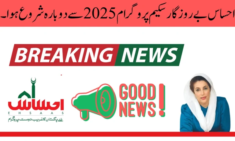 احساس روزگار سکیم پروگرام ہر اہل خاندان کو ہر بے روزگار خاندان کے لیے ان کے گھر میں کوئی کمانے والا فرد نہیں