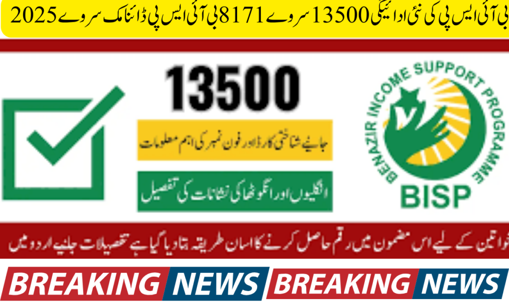 بی آئی ایس پی کی نئی ادائیگی 13500 سروے 8171 بی آئی ایس پی ڈائنامک سروے 2025
