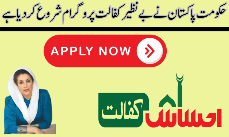 حکومت پاکستان بے نظیر کفالت پروگرام حکومت پاکستان کی طرف سے منظور شدہ ادارہ ہے، یہ غریب اور مستحق لوگوں کو مکمل مدد فراہم کرتا ہے۔ یہ پروگرام شروع کیا گیا ہے۔