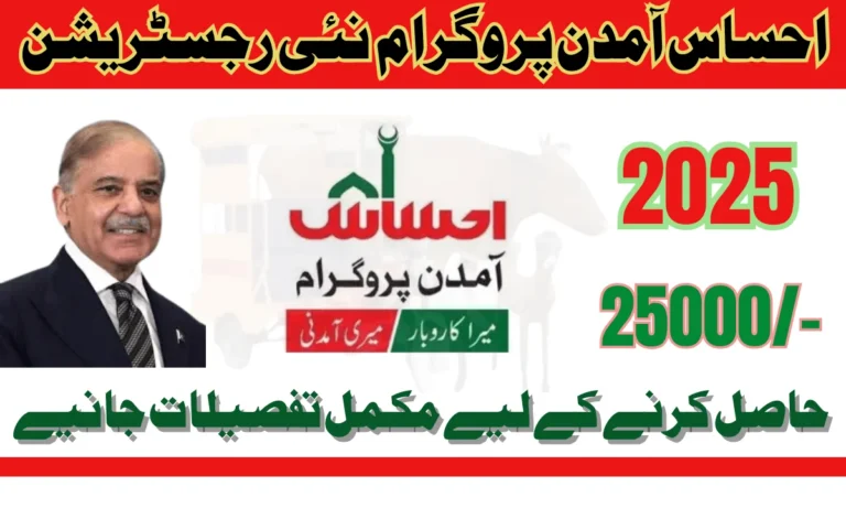 احساس انکم پروگرام 2025 کو حکومت پاکستان نے باضابطہ طور پر شروع کر دیا ہے۔ حکومت پاکستان نے احساس انکم پروگرام کا آغاز کیا ہے