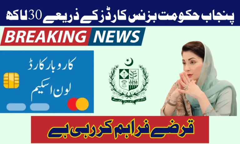 صوبہ پنجاب میں نوجوانوں کو روزگار فراہم کرنے کے لیے بزنس لون سکیم متعارف کرائی گئی ہے۔ یہ سکیم صوبہ پنجاب میں بے روزگاری کے خاتمے کے لیے حکومت پنجاب کی ایک بڑی کوشش ہے۔