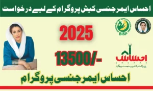 How to apply for the Ehsaas Emergency Cash Program