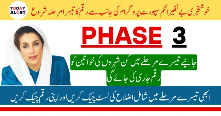 BISP 8171 May 2025 Payment 3rd Phase Districts List