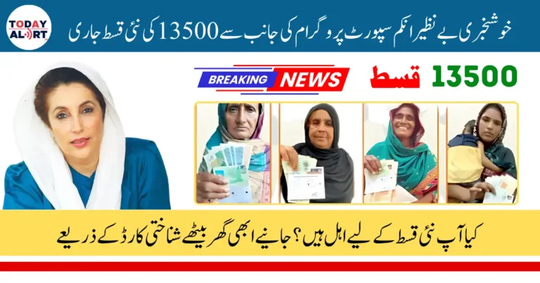 How to Check BISP 8171 June 2025 Payment and Receive