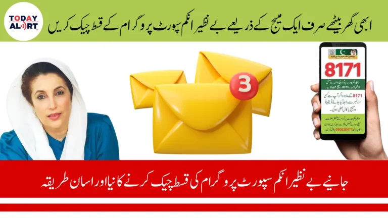 BISP 8171 Payment Status July 2025 by CNIC