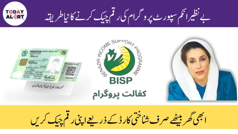 Benazir Kafalat Program Check CNIC 2025 For 13500 Payment New Method